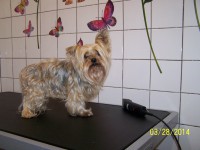 /album/fotogaleria/pred-upravou-jpg/